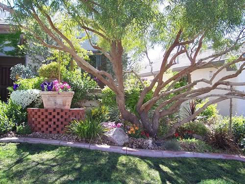 Las Vegas Landscape Design Portfolio