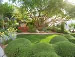 Las Vegas Landscape Design