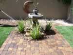 Las Vegas Landscape Design