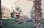 Las Vegas Landscape Design
